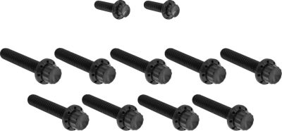 24011735 - ARLEN NESS HARDWARE KIT TITANUIM 12PT CAM & POINT BLACK