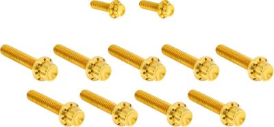 24011736 - ARLEN NESS HARDWARE KIT TITANUIM 12PT CAM & POINT GOLD