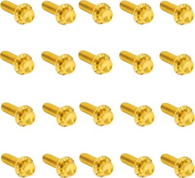 24011745 - ARLEN NESS Bolt Kit - Rocker Box - 12-Point - Gold