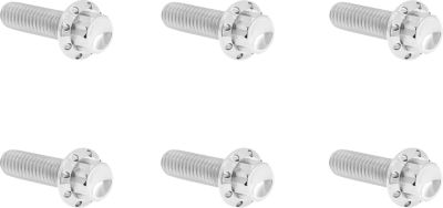 24011746 - ARLEN NESS Bolt Kit - Transmission Top Cover - 12-Point - Polished