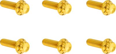 24011748 - ARLEN NESS Bolt Kit - Transmission Top Cover - 12-Point - Gold