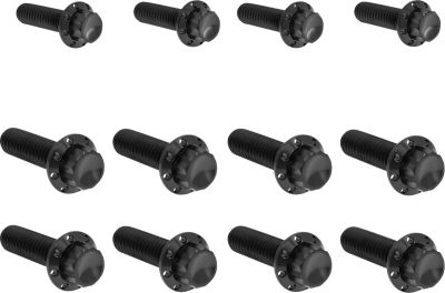 24011753 - ARLEN NESS Bolt Kit - Transmission Side Cover/Trap Door - 12-Point - B...