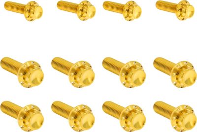 24011754 - ARLEN NESS Bolt Kit - Transmission Side Cover/Trap Door - 12-Point - G...