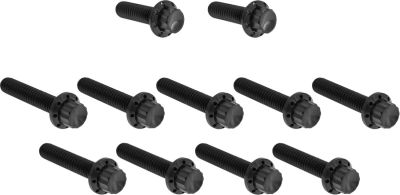 24011759 - ARLEN NESS Bolt Kit - Cam Cover/Point Cover - 12-Point - Black