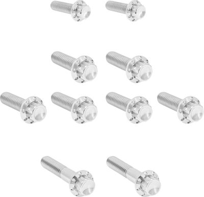 24011761 - ARLEN NESS Bolt Kit - Transmission Side Cover/Trap Door - 12-Point - P...