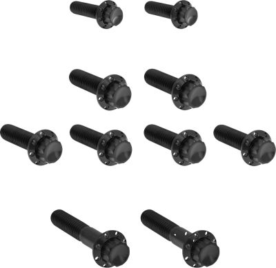 24011762 - ARLEN NESS Bolt Kit - Transmission Side Cover/Trap Door - 12-Point - B...