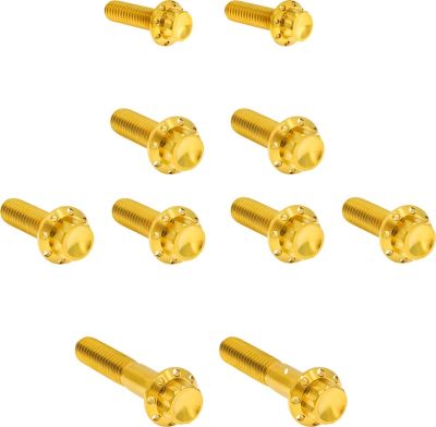 24011763 - ARLEN NESS Bolt Kit - Transmission Side Cover/Trap Door - 12-Point - G...