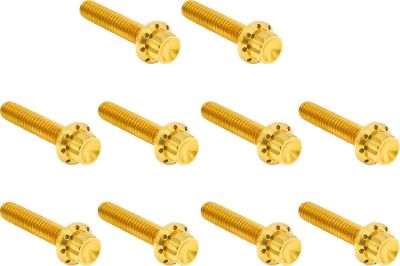 24011766 - ARLEN NESS HARDWARE KIT TITANUIM 12PT CAM & POINT CVR GOLD