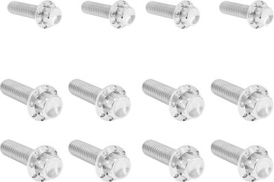 24011774 - ARLEN NESS Bolt Kit - Transmission Side Cover/Trap Door - 12-Point - P...