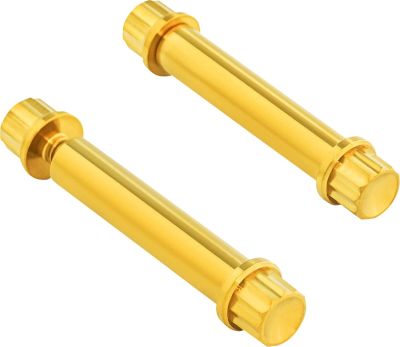 24011780 - ARLEN NESS BOLTS KIT TITANIUM 12PT FOOTPEG GOLD