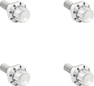 24011781 - ARLEN NESS BOLT KIT TITANIUM 12PT  WINDSHIELD POLISH