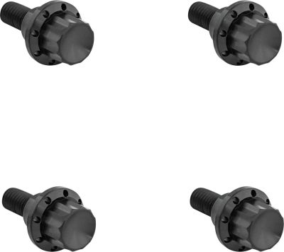 24011782 - ARLEN NESS BOLT KIT TITANIUM 12PT  WINDSHIELD BLACK