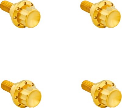 24011783 - ARLEN NESS BOLT KIT TITANIUM 12PT  WINDSHIELD GOLD