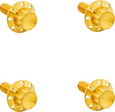 24011786 - ARLEN NESS BOLTS KIT TITANIUM 12PT FRONT FENDER GOLD