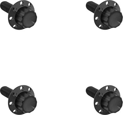 24011788 - ARLEN NESS BOLT KIT TITANIUM 12PT  WINDSHIELD BLACK