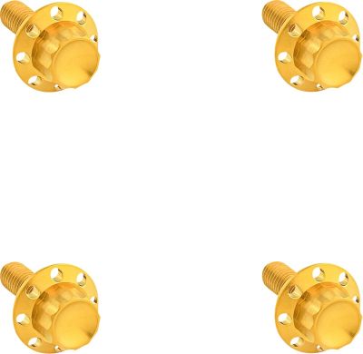 24011793 - ARLEN NESS BOLT KIT TITANIUM 12PT  WINDSHIELD GOLD