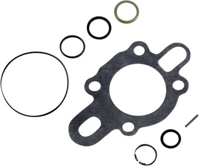 DS173406 - JAMES GASKET & SEAL KIT OIL PUMP