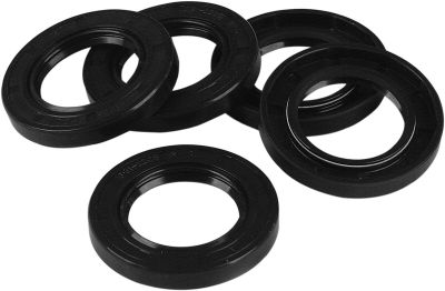 DS173424 - JAMES OIL SEAL INNER CHAIN COVER