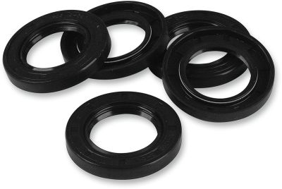 DS174343 - JAMES OIL SEAL INNER CHAIN COVER