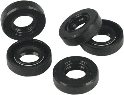 DS174376 - JAMES OIL SEAL 5-SPEED SHIFTER SHAFT