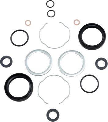 DS174781 - JAMES OIL SEAL KIT FORK