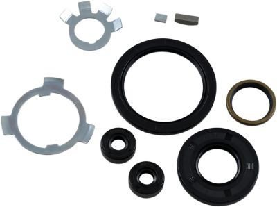 DS174908 - JAMES OIL SEAL KIT MAIN DRIVE