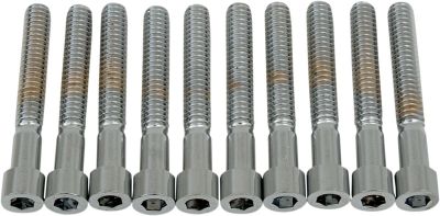 DS190540S - DRAG SPECIALTIES SOCKET-HEAD BOLT 1/4-20X1.75 SMOOTH CHROME