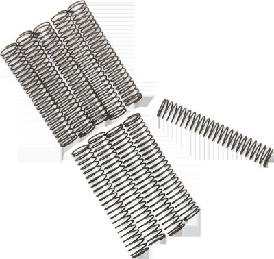 DS194222 - Eastern CK VALVE SPRNG 81-99 BT