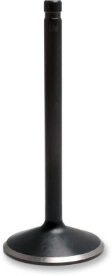 DS198972 - KIBBLEWHITE VALVE BLACK DIAMOND INTAKE