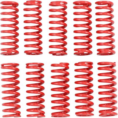 DS199209 - KIBBLEWHITE CLUTCH SPRING KIT