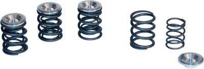 DS199729 - S&S DUAL VALVE SPRINGS