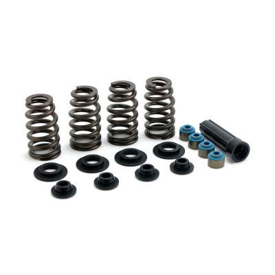 501283 - Manley, valve spring kit. Steel. Std to .600