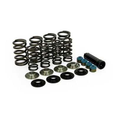 501284 - Manley, valve spring kit. Titanium. Std to .650