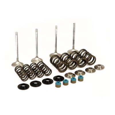 501289 - Manley, Race Master valve kit. Stock - .650