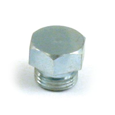 501765 - MCS Timing/drain plug. hex, zinc