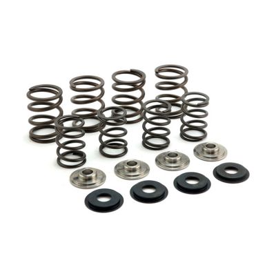 513992 - Manley, valve spring. Stock to .495