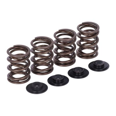 513995 - Manley, valve spring kit. Stock to .456