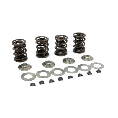 514001 - Manley, high lift valve spring kit. .500