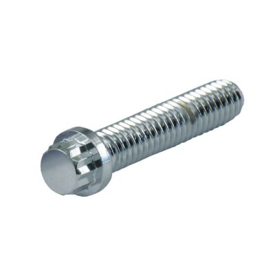 522598 - GARDNER-WESTCOTT 12 point bolt chrome, 1/4-20 x 2 1/2