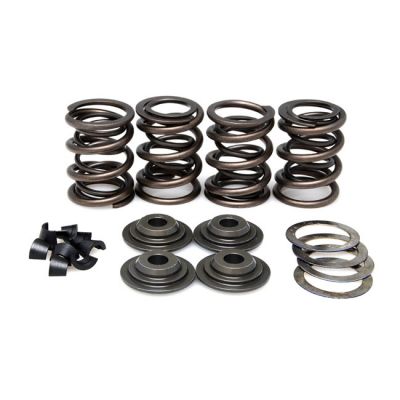 524452 - KIBBLEWHITE KPMI, valve spring kit. .460
