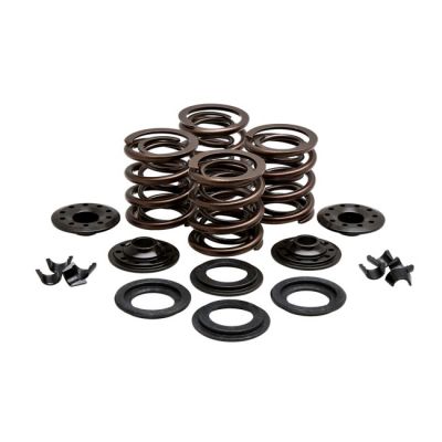 524459 - KIBBLEWHITE KPMI, valve spring kit. .415