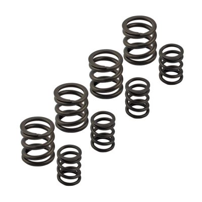 524462 - KIBBLEWHITE Kpmi, Sportster valve spring set