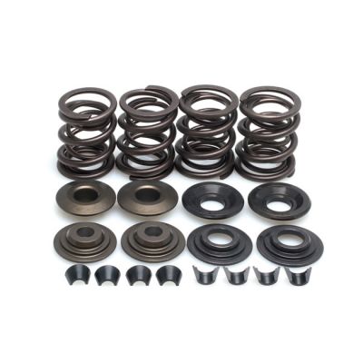 524476 - KIBBLEWHITE KPMI, valve spring kit. .600