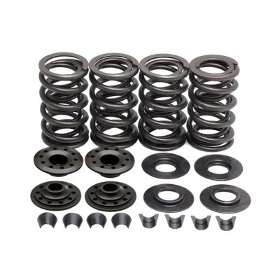 524504 - KIBBLEWHITE KPMI, valve spring kit. .600