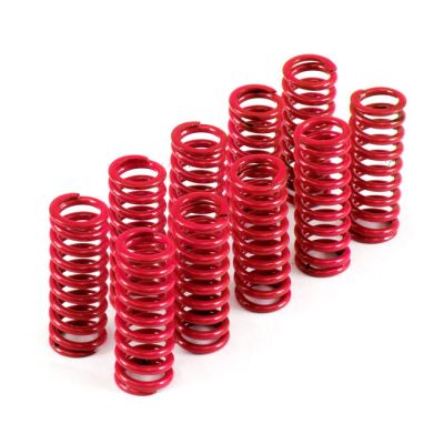 524574 - KIBBLEWHITE KPMI, clutch spring set