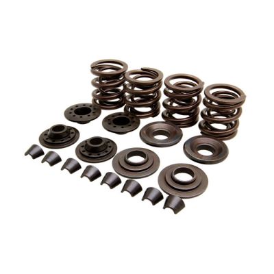 524592 - KIBBLEWHITE KPMI, valve spring kit. .400