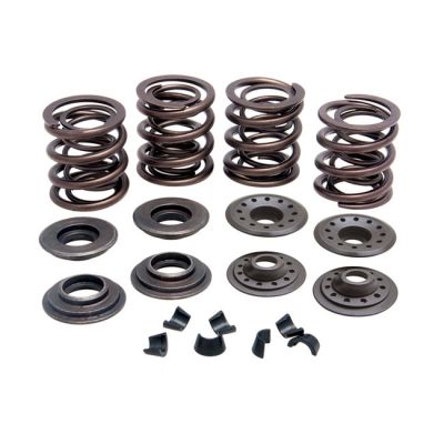 524593 - KIBBLEWHITE KPMI, valve spring kit. .415