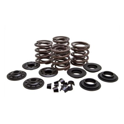 524595 - KIBBLEWHITE KPMI, valve spring kit. .600
