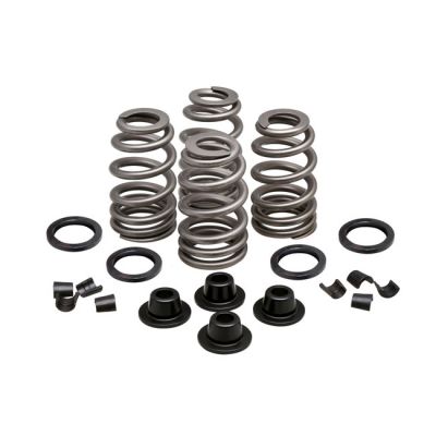 524622 - KIBBLEWHITE KPMI, Beehive valve spring kit. Steel. .660