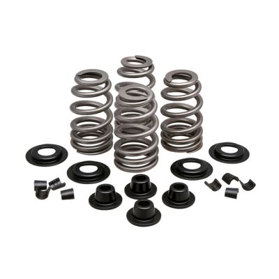 524623 - KIBBLEWHITE KPMI, Beehive valve spring kit. Steel. .610